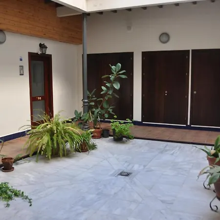 Apartment Atico Plaza Del Salvador *
